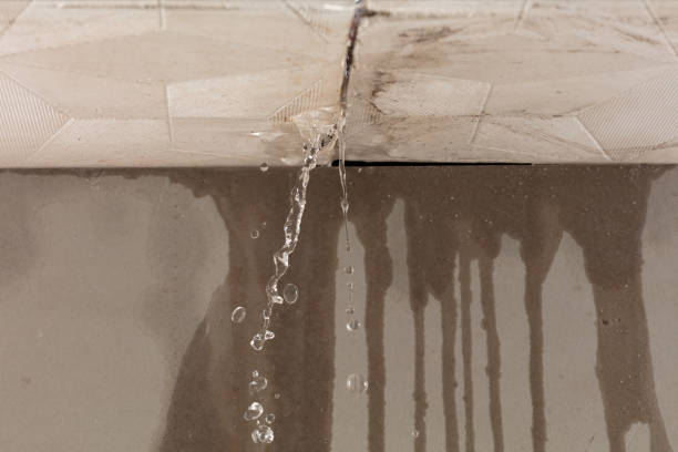 Professional Water Damage Inspection technician working in Valley Springs, CA